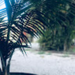 Meet your Posher, Madeleine